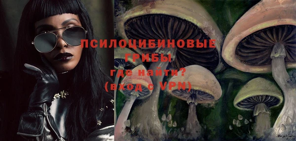 соль ск Балабаново
