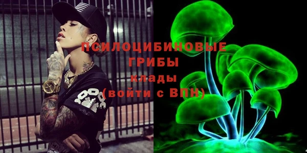 эйфоретик Балахна