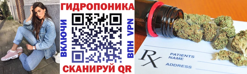 Бошки Шишки THC 21%  Купить  Плёс 